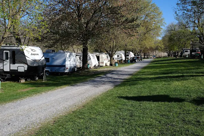 Riverside camping 6
