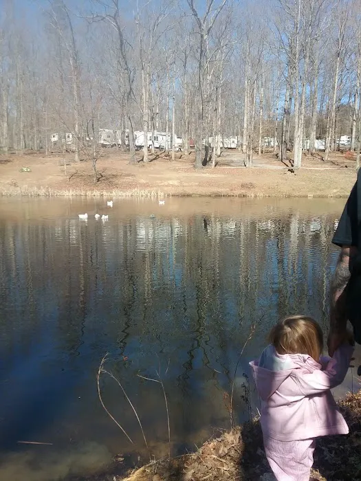 Cedar Mountain Campground 5