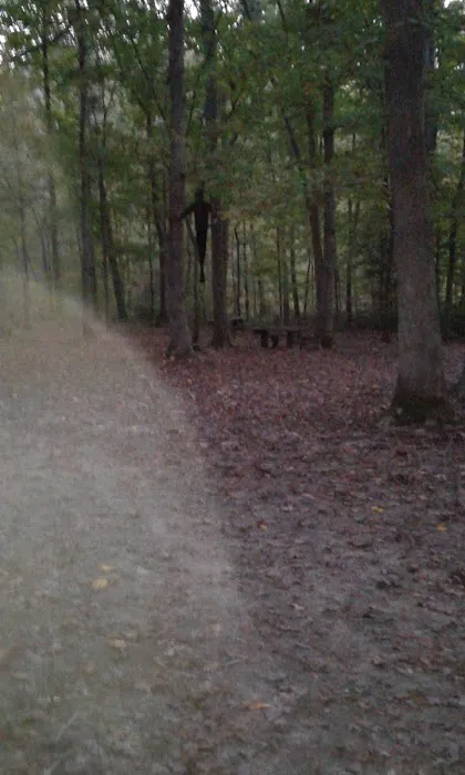 Cedar Mountain Campground 10