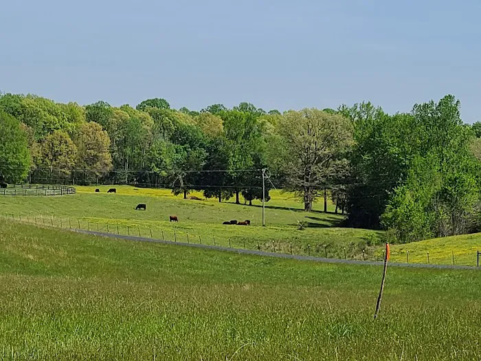Christopher Run Campground 6