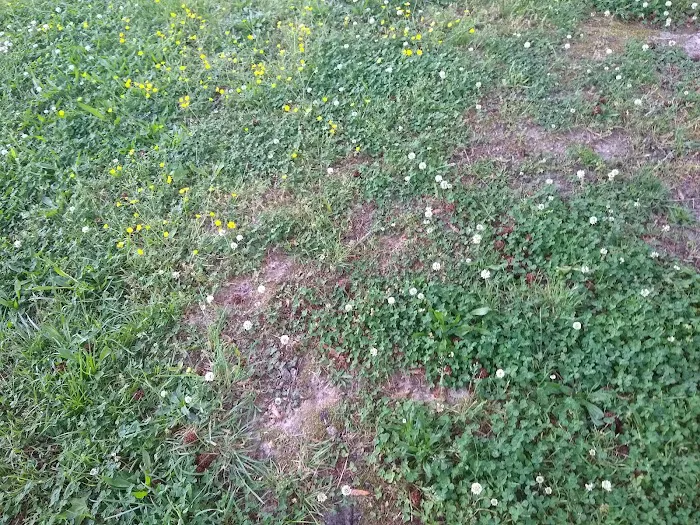 Worsham Mobile Home Park 2