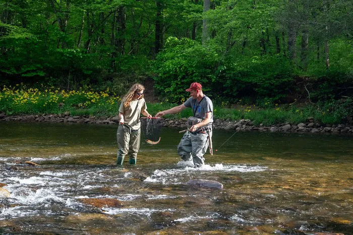 Revelle's River Resort 10