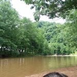 Shavers Fork Campground