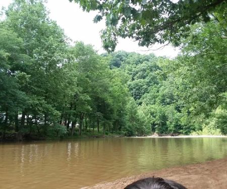 Shavers Fork Campground