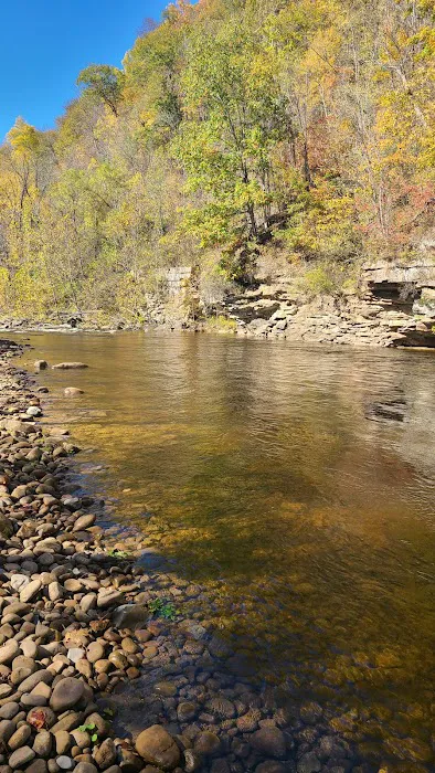 Shavers Fork Campground 8