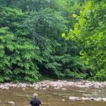 BLUESKY CAMPGROUND AT LITTLE TORY LLC