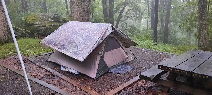 Bear Heaven Campground 1
