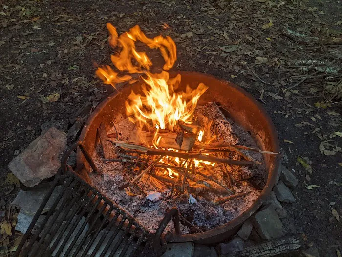 Bear Heaven Campground 4