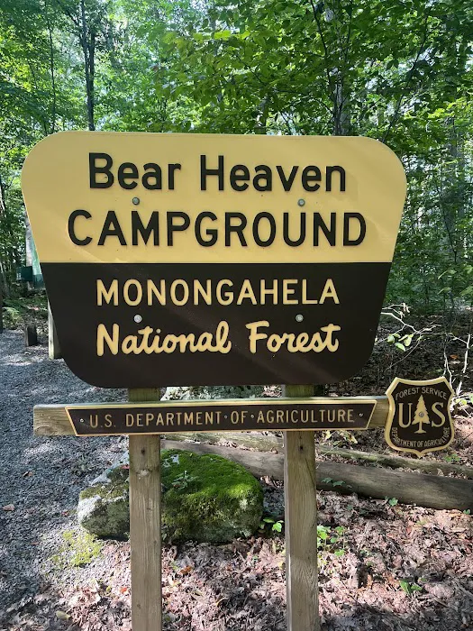 Bear Heaven Campground 3