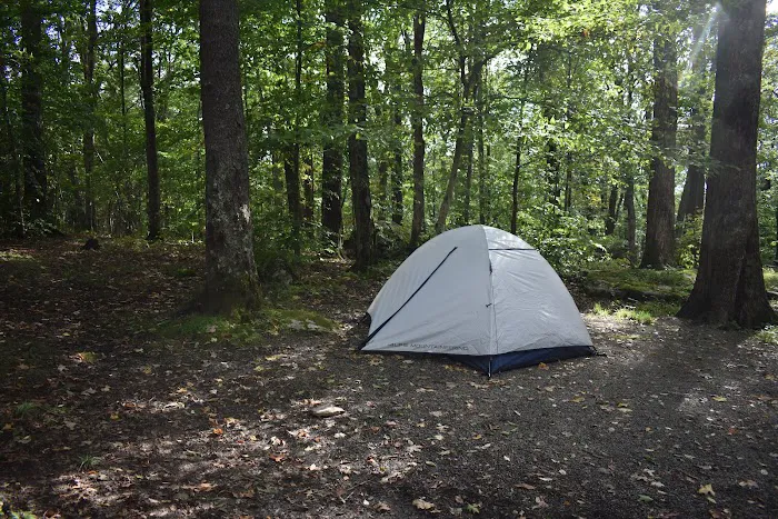 Bear Heaven Campground 2