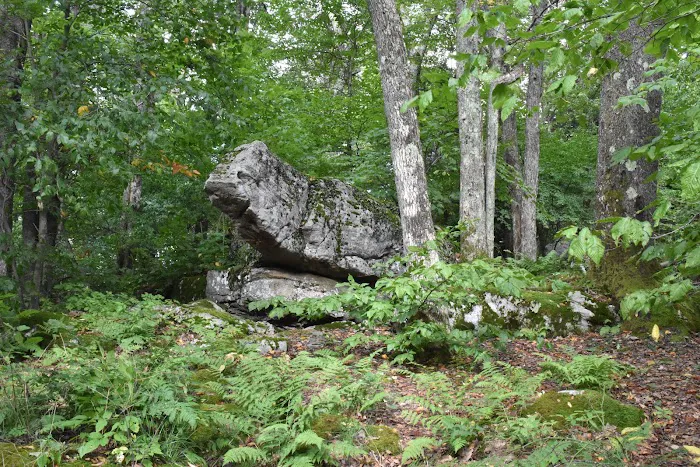 Bear Heaven Campground 5