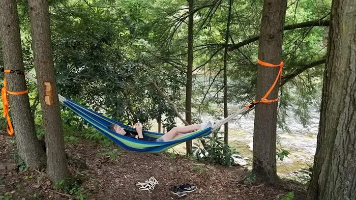 CAMP MORNING WOOD 8