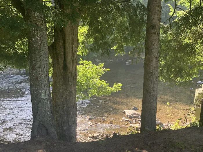CAMP MORNING WOOD 10
