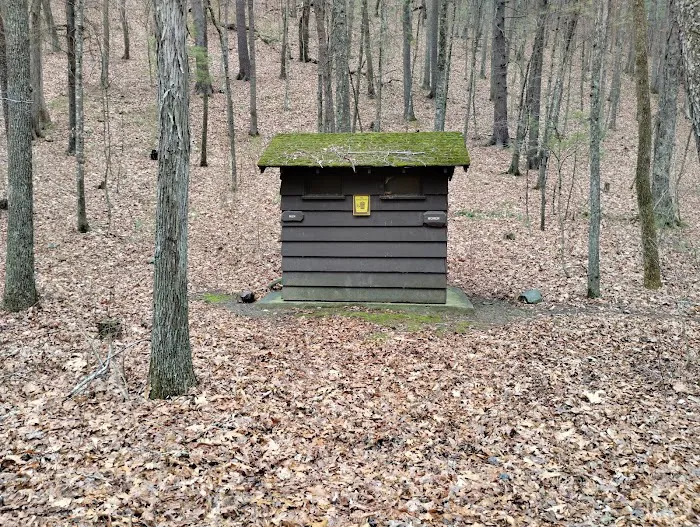 Camp Run Campground 1