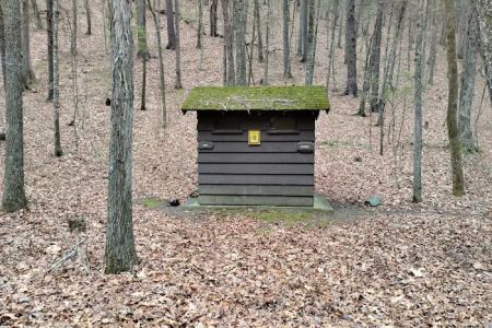 Camp Run Campground