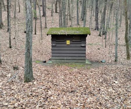 Camp Run Campground