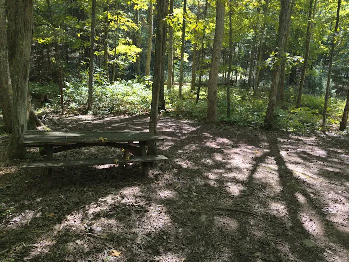 Camp Run Campground 3
