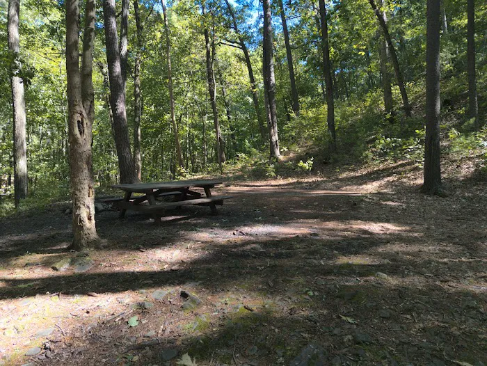 Camp Run Campground 6