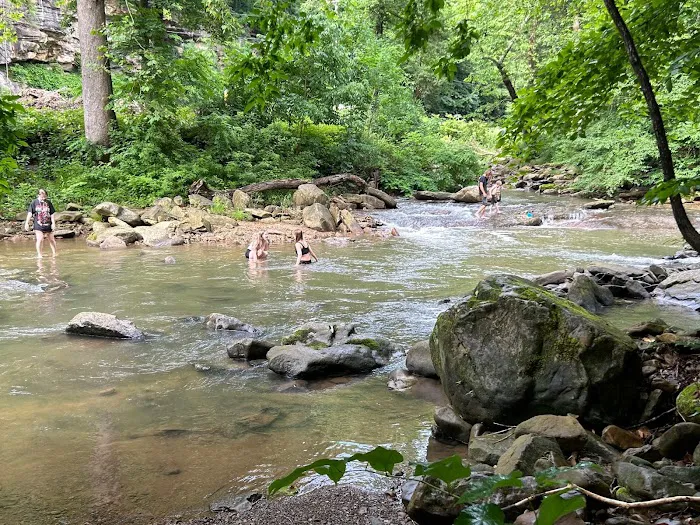 Camp Holly 4