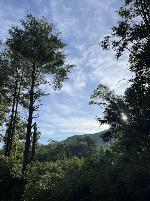 Big Bend Campground 6