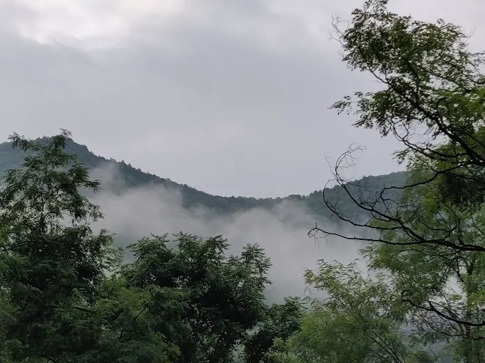 Big Bend Campground 7