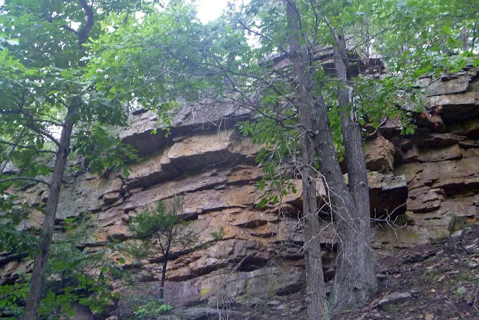 Big Bend Campground 4