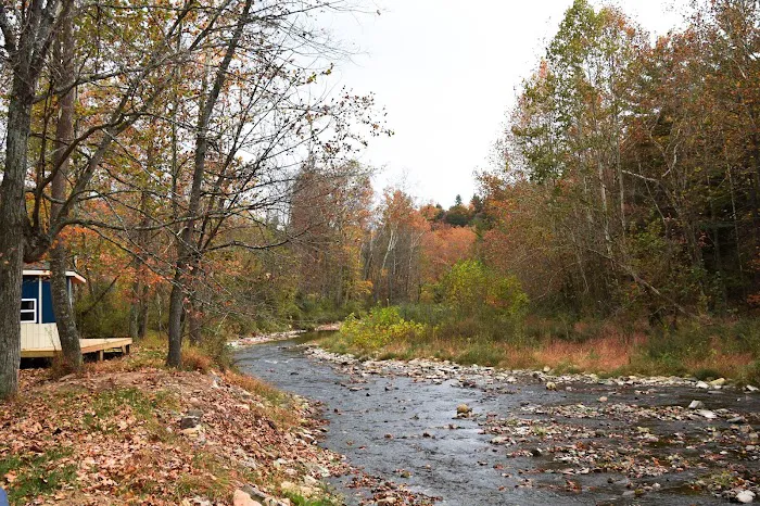 Rivers Edge Campground 7