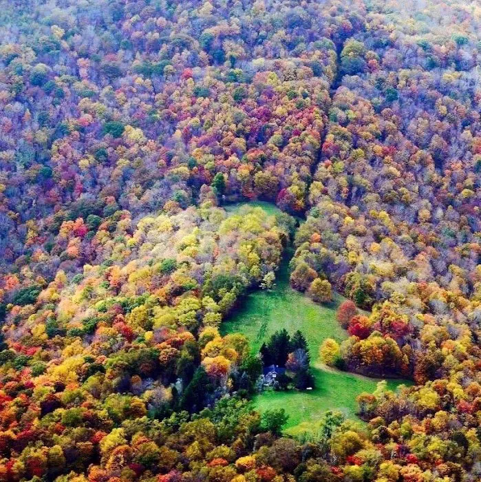 Baber Mountain Retreat 4