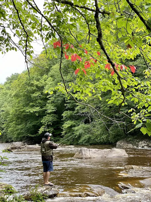 Baber Mountain Retreat 7