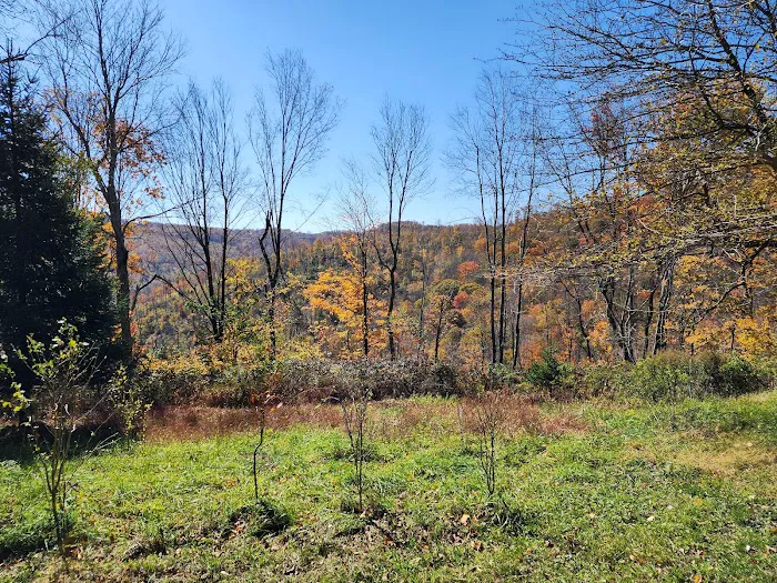 Baber Mountain Retreat 8