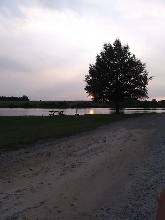 Picture Lake Campground 10