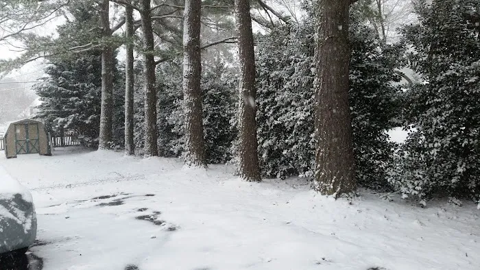 Camptown Campground 8