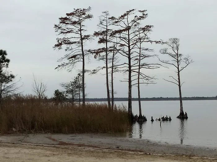 North Landing Beach RV Resort & Cottages 10