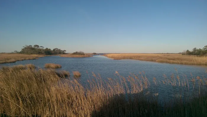 False Cape - Bay sites 10-12 6
