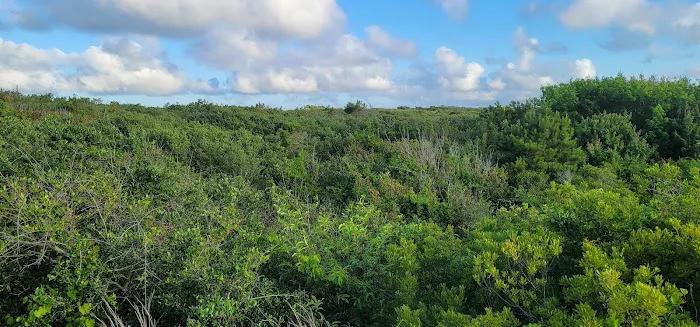 Barbour Hill Ocean Campground 5