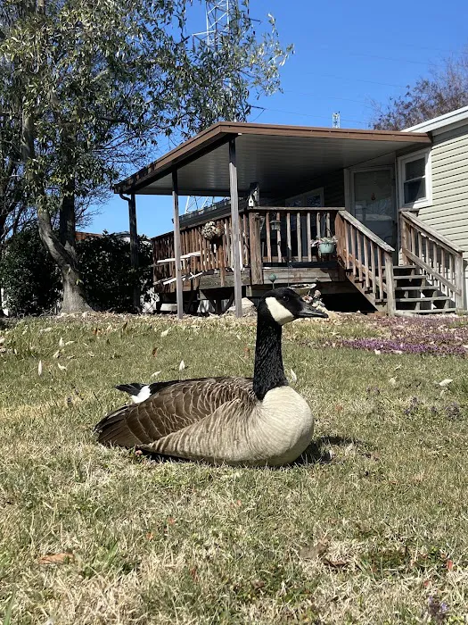 Circle Mobile Home Park, LLC 3