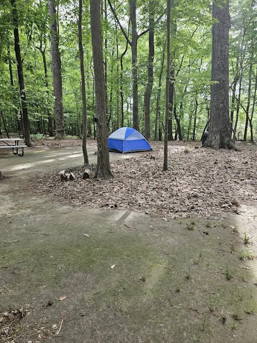 Bethel Recreation Area FAM Camp Langley AFB 7