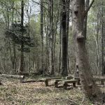 Windy Hills Mobile Home Park