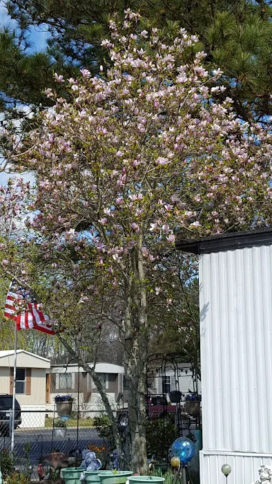 Americana Park East 4
