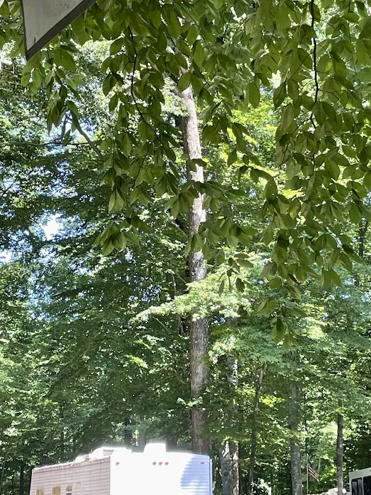 Carter's Cove Campground 2