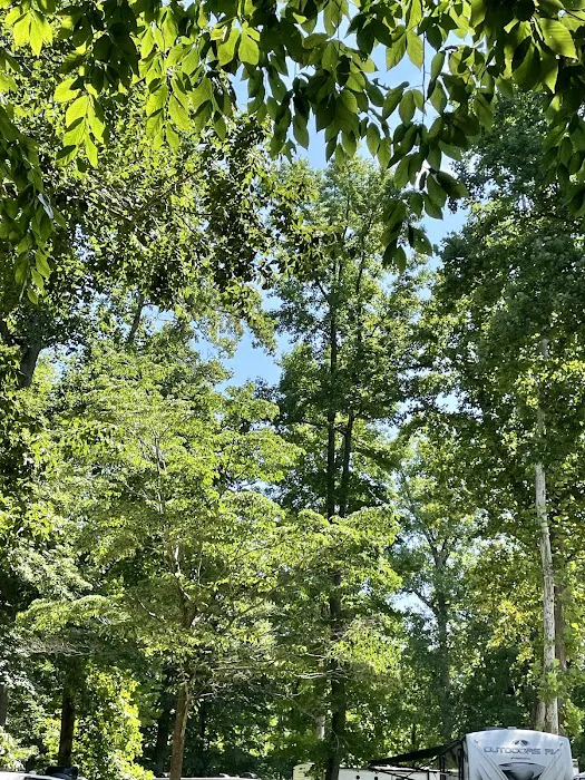 Carter's Cove Campground 9