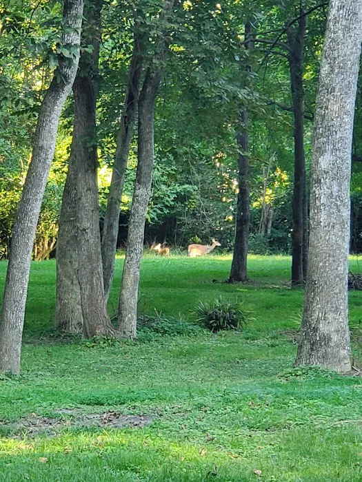 Carter's Cove Campground 7