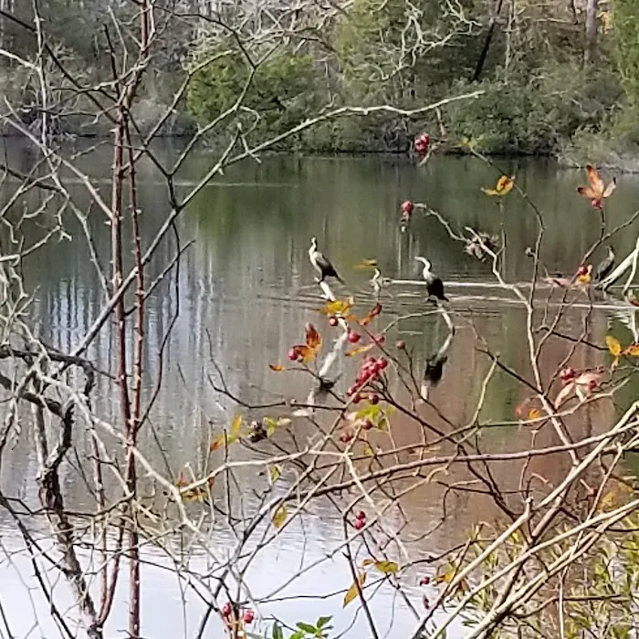 Kings Creek RV Campground 9