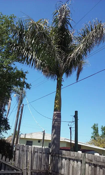 Floridana Homeowners Inc 5