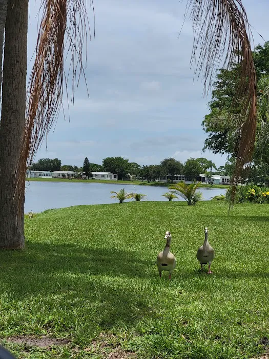 Heron Cay 2