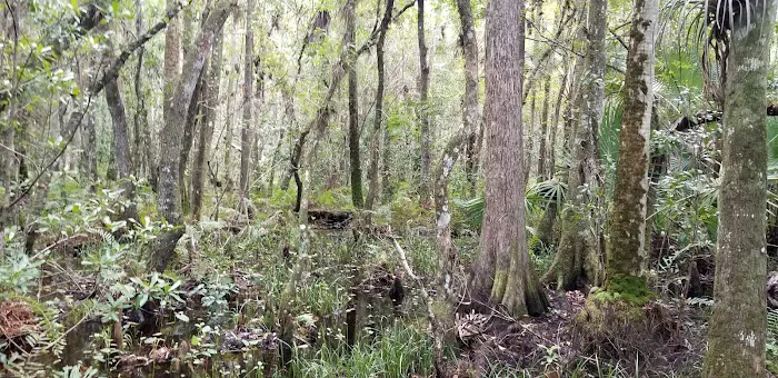 Fort Drum Marsh Conservation Area Group Camping 5