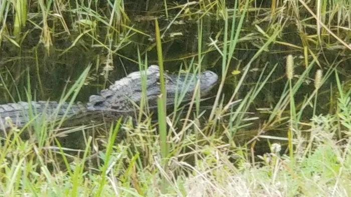 Fort Drum Marsh Conservation Area Group Camping 4