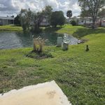Village Green