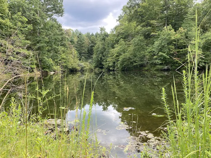 Beaver Lakes Campground 3