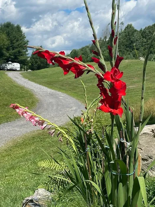 Beaver Lakes Campground 5